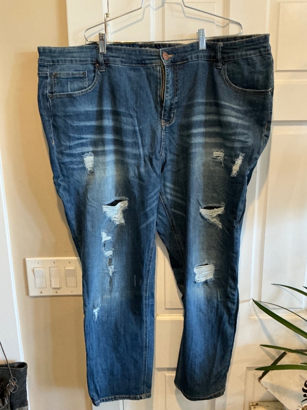 Supplies jeans in plus size 24w